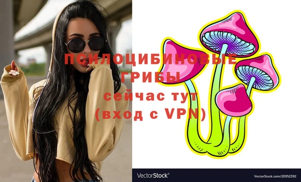 ECSTASY Кинешма