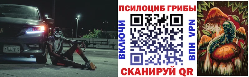 Купить  Мценск  Галлюциногенные грибы GOLDEN TEACHER 
